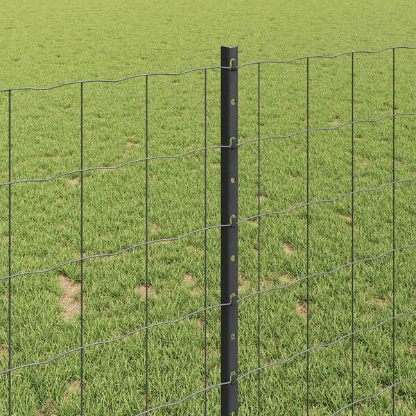 A apresentar a imagem do produto 4 de 14