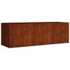 vidaXL Canteiro elevado de jardim 120x40x40 cm a&ccedil;o corten