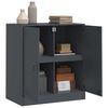 vidaXL Aparador 67x39x73 cm a&ccedil;o antracite