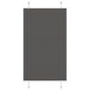 vidaXL Preto Plissada Cega 70x150 cm Largura Tecido 69,4 cm Poli&eacute;ster