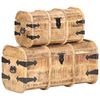 vidaXL Ba&uacute;s de arruma&ccedil;&atilde;o 2 pcs madeira de mangueira maci&ccedil;a