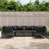 vidaXL 6 pcs conjunto lounge de jardim com almofad&otilde;es a&ccedil;o antracite