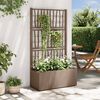 vidaXL Jardineira com Treli&ccedil;a Castanho 80 x 36 x 140 cm PP