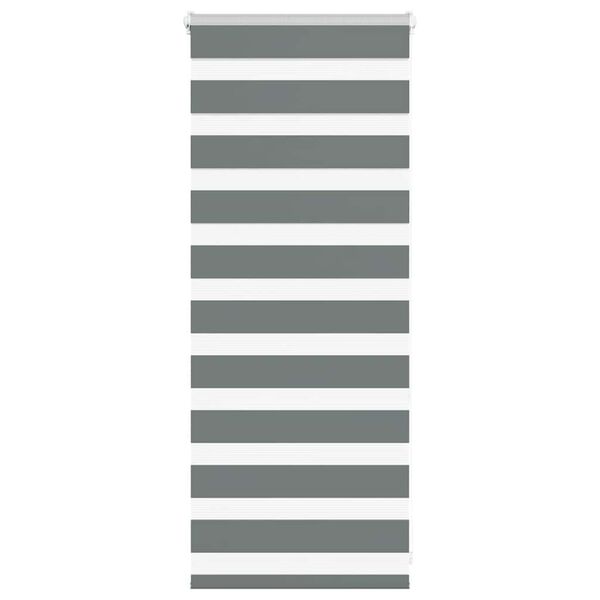 vidaXL Cortina de zebra 60x100 cm largura do tecido 55,9 cm poliéster