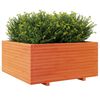 vidaXL Vaso/floreira jardim 100x100x49,5 cm pinho maci&ccedil;o castanho mel