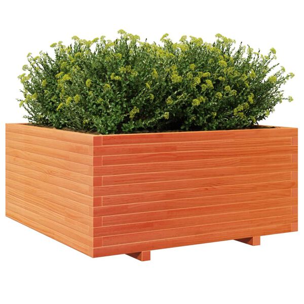 vidaXL Vaso/floreira jardim 100x100x49,5 cm pinho maci&ccedil;o castanho mel
