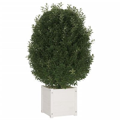vidaXL Vaso de jardim 40x40x40 cm madeira de pinho maciça branco