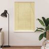 vidaXL Estores de rolo com cortinas Manual Natura 100 x 160 cm Bambu