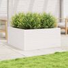 vidaXL Vaso/floreira jardim 100x100x46 cm madeira pinho maci&ccedil;a branco