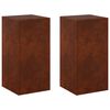 vidaXL Suporte para Plantas 2 pcs Ferro Enferrujado 30 x 30 x 60 cm