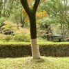 Imagem em miniatura do produto 2 de 7