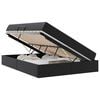 vidaXL Cama com arruma&ccedil;&atilde;o e colch&atilde;o 2 unid. Preto Couro