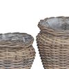 vidaXL Cesta de Plantador com armazenamento 2 pcs Cinzeto Rattan Lacak