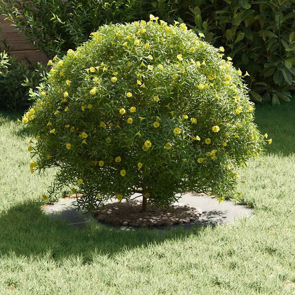 A apresentar a imagem do produto 3 de 9