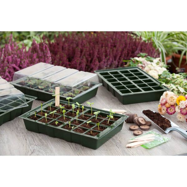 Nature Kit de propaga&ccedil;&atilde;o/germina&ccedil;&atilde;o para iniciantes 106 pcs