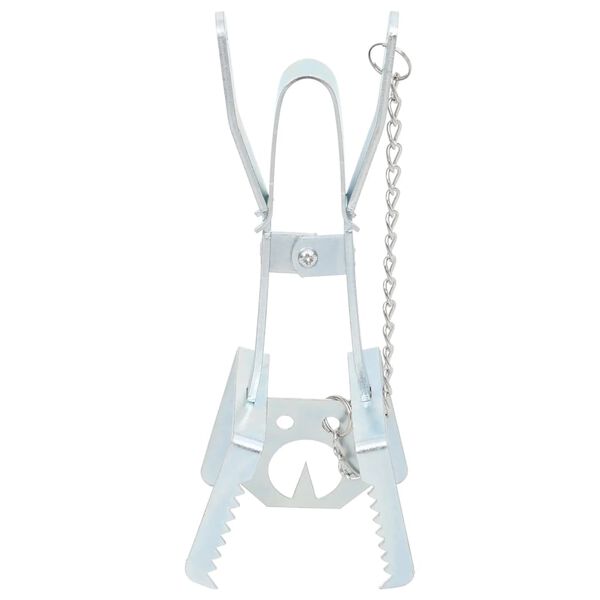 vidaXL Armadilhas para toupeiras 5 pcs a&ccedil;o galvanizado prateado