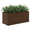 vidaXL Canteiro jardim com 2 vasos 2pcs 72x30x32 cm vime PE castanho