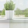 Imagem em miniatura do produto 3 de 8