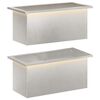 vidaXL Floreira de jardim com LED 2 unid. Prateado 30 x 60 x 30 cm