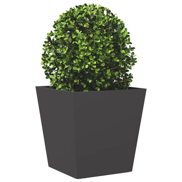 A apresentar a imagem do produto 4 de 12