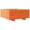 vidaXL Vaso/floreira de jardim 60x60x26,5 cm pinho maci&ccedil;o castanho-mel