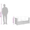 vidaXL Sof&aacute;s de canto p/ jardim c/ almofad&otilde;es 2 pcs vime PE cinzento