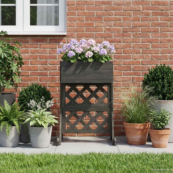 A apresentar a imagem do produto 4 de 10