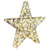 vidaXL Estrela 3D com 50 LEDs Branco quente 55 x 52.5 x 9 cm Vime
