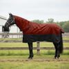 vidaXL Cobertor de Cavalo Verde Escuro e Preto 145 cm Poli&eacute;ster