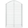 vidaXL Cesto gabi&atilde;o arqueado 100x50x140/160 cm ferro galvanizado
