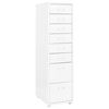 vidaXL Arquivador m&oacute;vel 28x41x109 cm metal branco