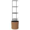 vidaXL Cultivador de Tomates Naturo ECO &Oslash; 39 x 139 cm WPC