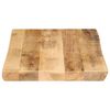 vidaXL Tampo de mesa c/ borda viva 60x40x3,8cm mangueira áspera maciça