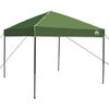 vidaXL Conjunto de Tenda de Camping 2 pcs Verde Tafet&aacute; e Tecido