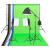 vidaXL Kit ilumina&ccedil;&atilde;o est&uacute;dio fotogr&aacute;fico c/ fundos e refletor