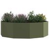 vidaXL Floreira Verde Oliva 120 x 120 x 35 cm A&ccedil;o