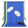 vidaXL Kit est&uacute;dio de fotografia com fundos ilumina&ccedil;&atilde;o e sombrinhas