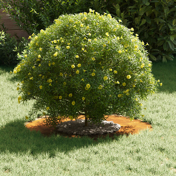 vidaXL adequado para Anel de Árvore Plano Castanho Ø30 / 60 cm