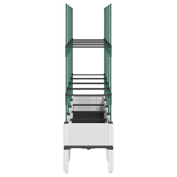 A apresentar a imagem do produto 4 de 7