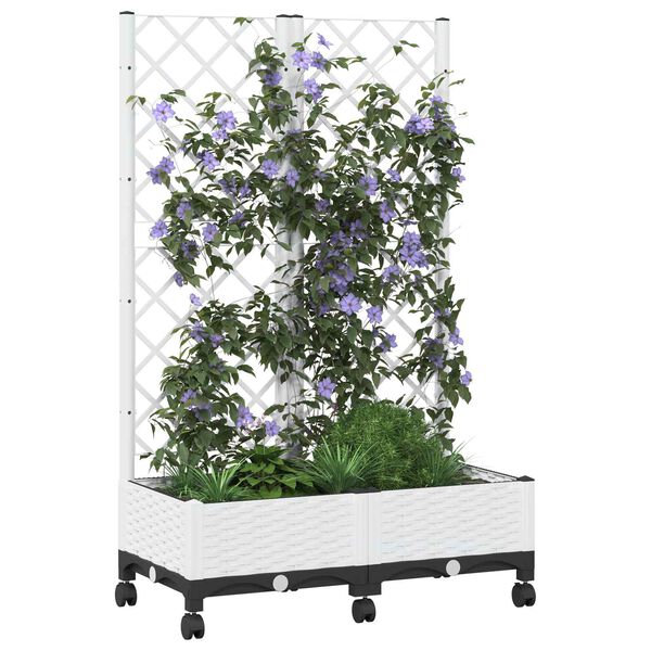 A apresentar a imagem do produto 3 de 8