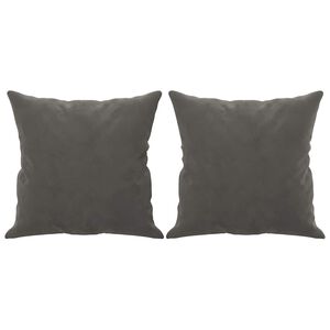 vidaXL Almofadas decorativas 2 pcs 40x40 cm veludo cinzento-escuro