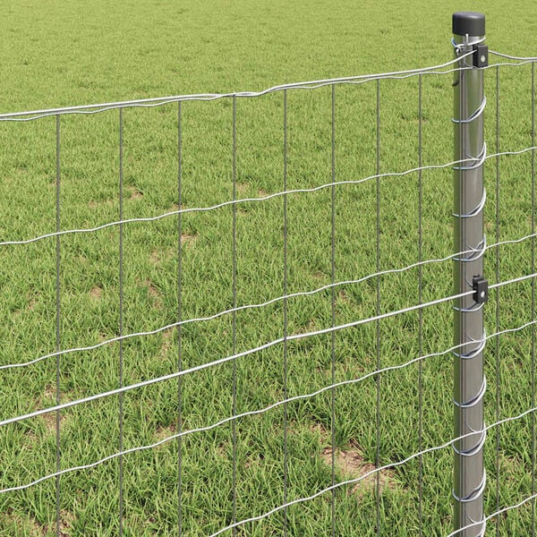 vidaXL Cerca Euro 1,6 x 10 m Ferro revestido de PVC