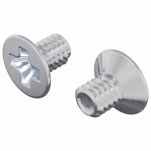 vidaXL Parafusos com Cabe&ccedil;a Chanfrada 2 pcs Prateado M4 x 6 mm A&ccedil;o