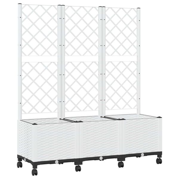 A apresentar a imagem do produto 1 de 8