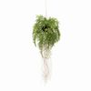 Emerald Feto de pendurar com ra&iacute;zes artificial 35 cm