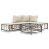 vidaXL 5 pcs conjunto lounge de jardim c/ almofad&otilde;es vime PE antracite