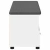 vidaXL Banco de Hall com almofada com gaveta Branco 100 x 38 x 46 cm
