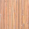 vidaXL Cercas em bambu 2 pcs 100x400 cm