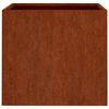 vidaXL Vasos/floreiras 2 pcs 49x47x46 cm a&ccedil;o corten