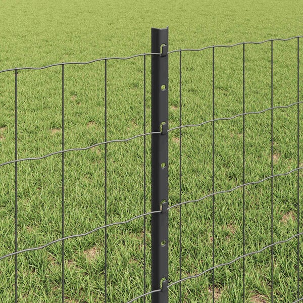 A apresentar a imagem do produto 4 de 13